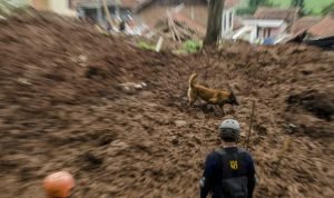 Kondisi permukiman dan tebing pascalongsor di Cimanggung, Kabupaten Sumedang, Jawa Barat, Minggu (10/1/2021).