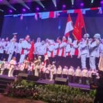program (2)